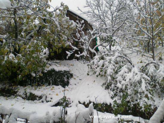 Türkeli Alagöz Köyü Resimleri 1