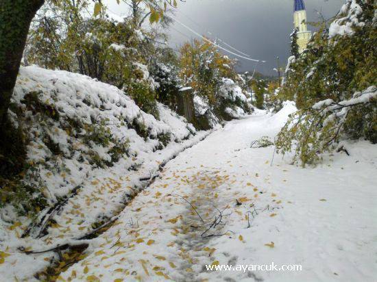 Türkeli Alagöz Köyü Resimleri 2