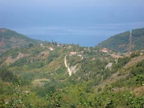 Türkeli Alagöz Köyü Resimleri 3