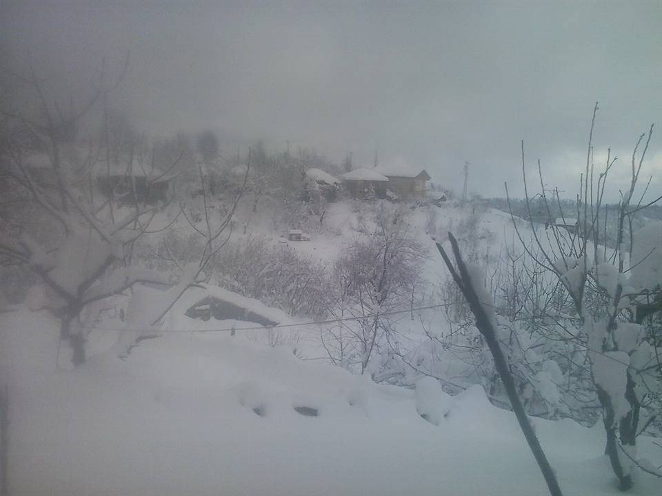 Türkeli Alagöz Köyü Resimleri 5