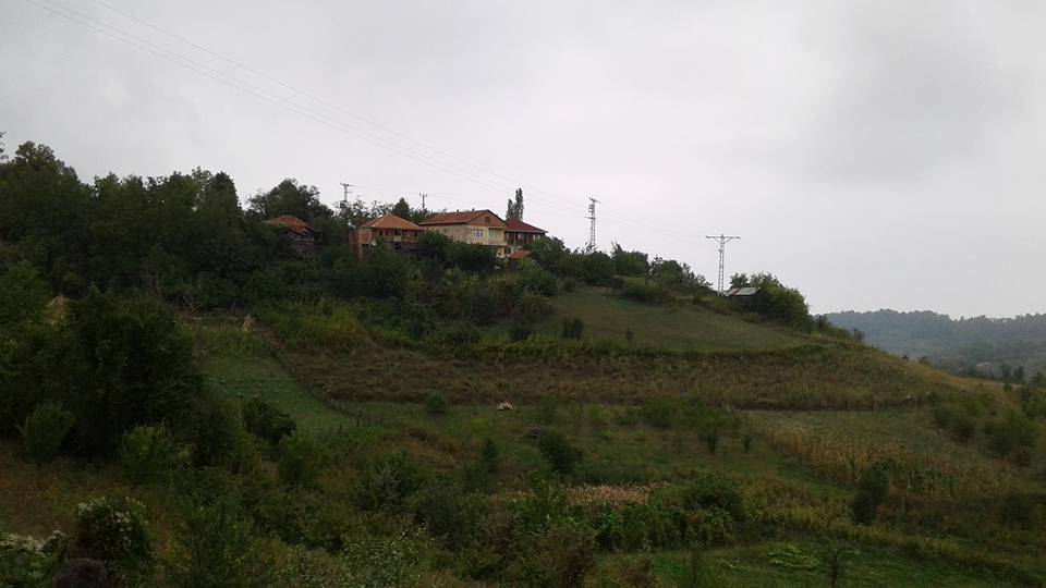 Türkeli Alagöz Köyü Resimleri 6
