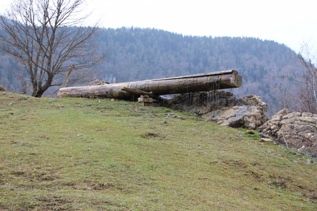 Türkeli Çatakgeriş Köyü Resimleri 3