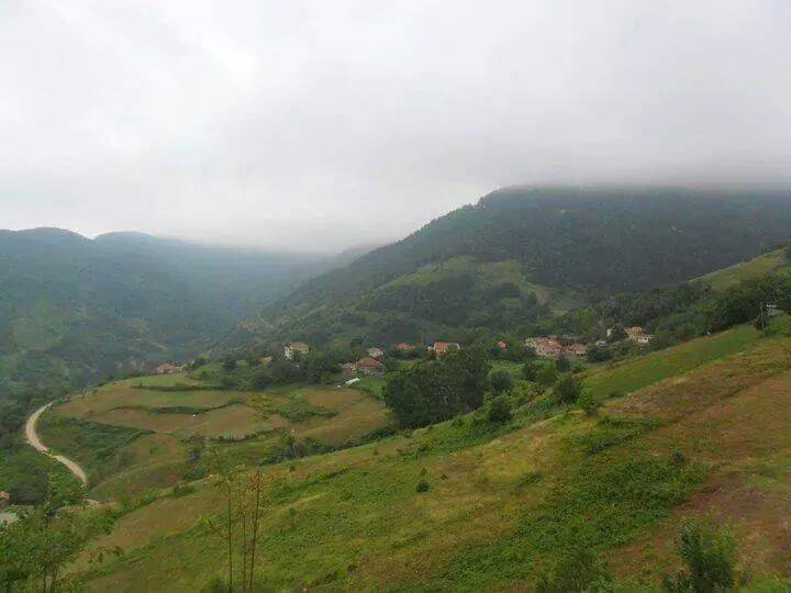 Türkeli Direkli Köyü Resimleri 3