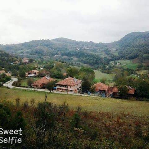 Türkeli Direkli Köyü Resimleri 6