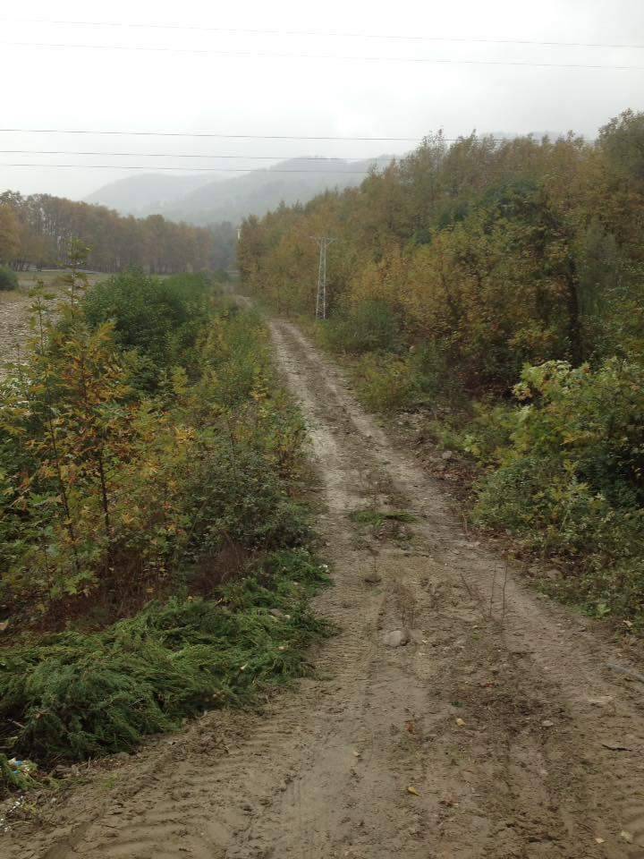Türkeli Düzler Köyü Resimleri 2
