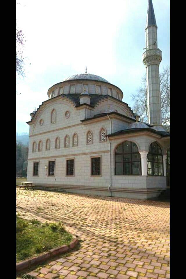 Türkeli Düzler Köyü Resimleri 4