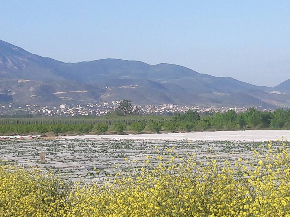 Pamukova Özbek Köyü Resimleri 1