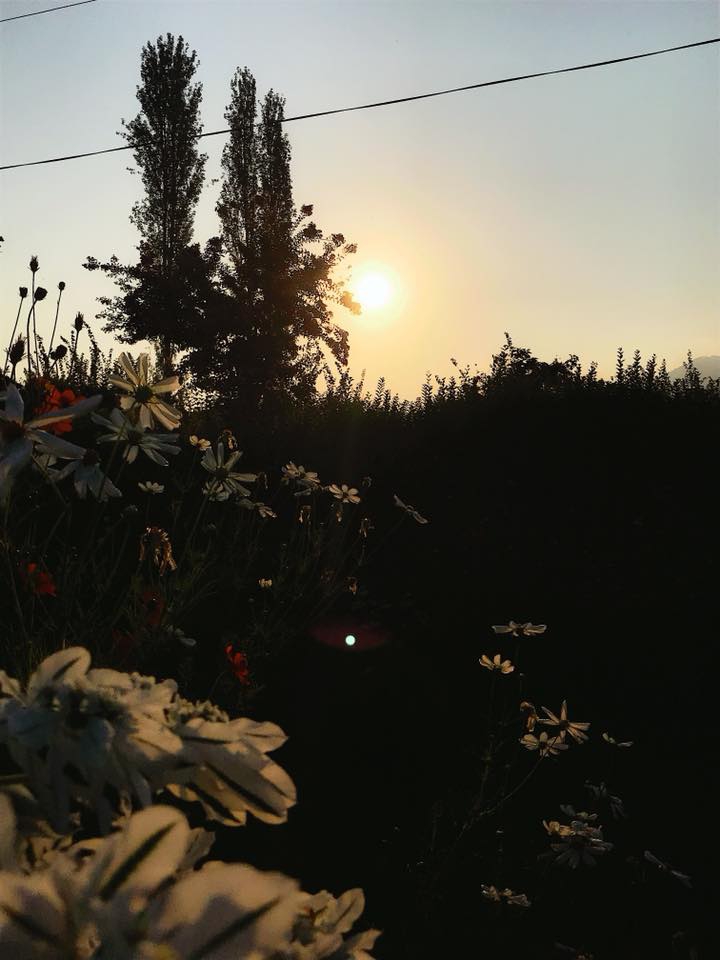 Pamukova Özbek Köyü Resimleri 5