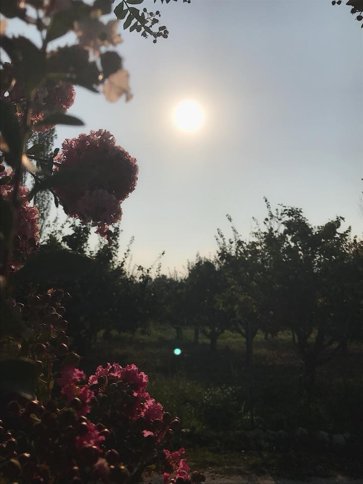 Pamukova Özbek Köyü Resimleri 6