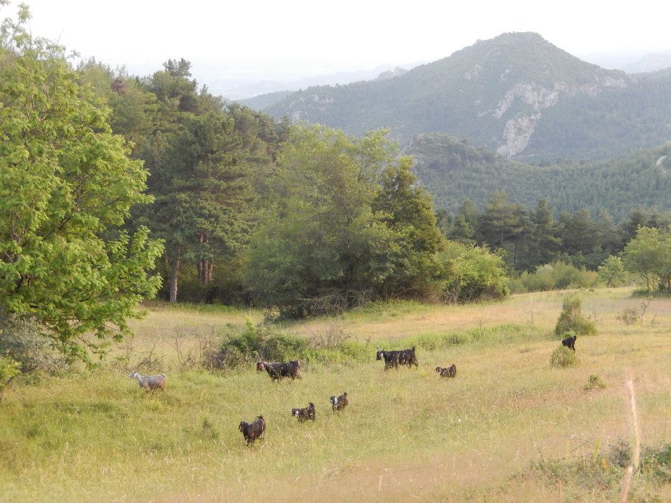 Pamukova Özbek Köyü Resimleri 7