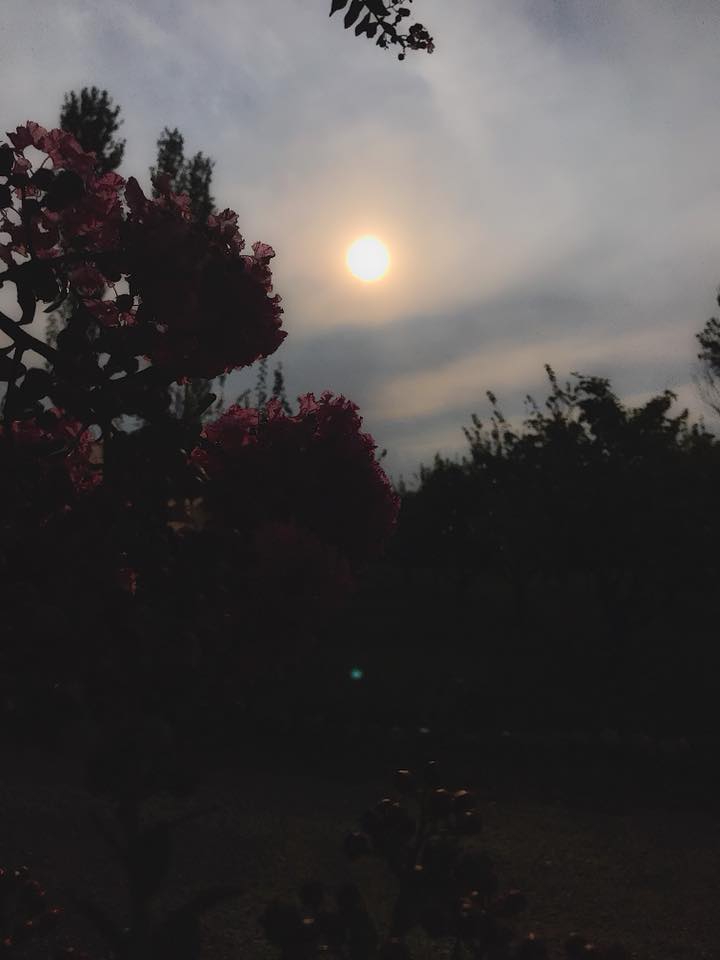 Pamukova Özbek Köyü Resimleri 9