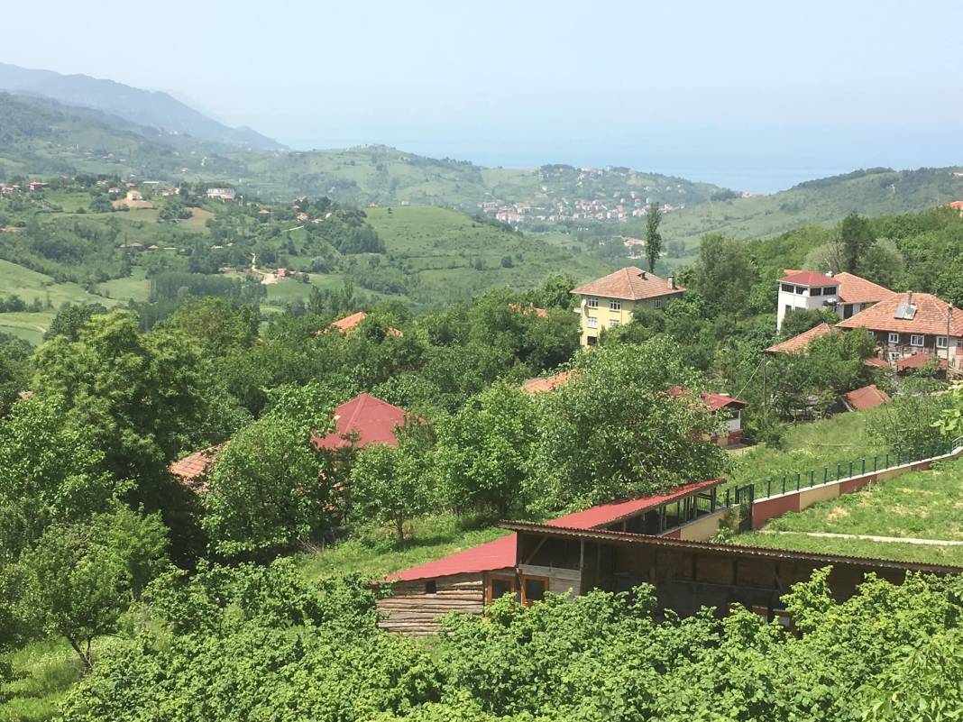 Türkeli Gaziler Köyü Resimleri 10