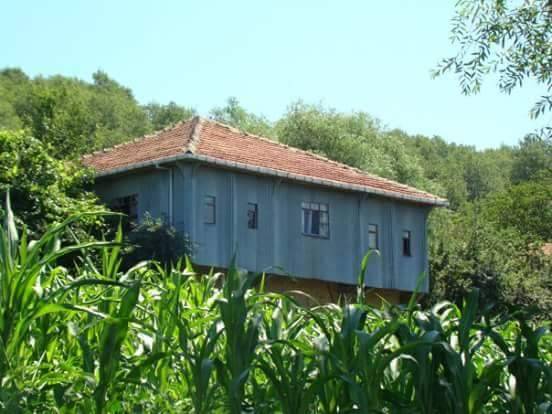 Türkeli Gaziler Köyü Resimleri 4