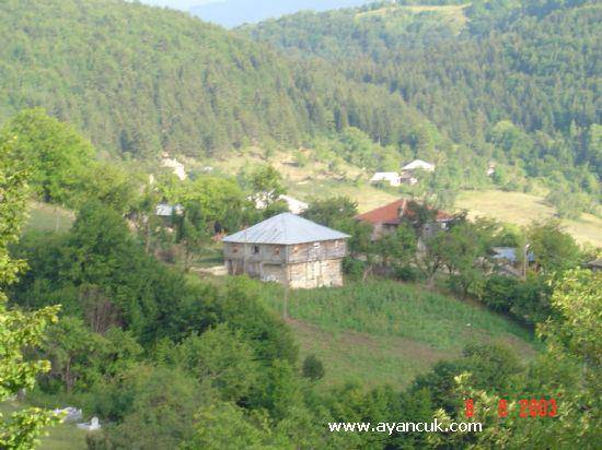 Türkeli Hacıköy  Resimleri 1