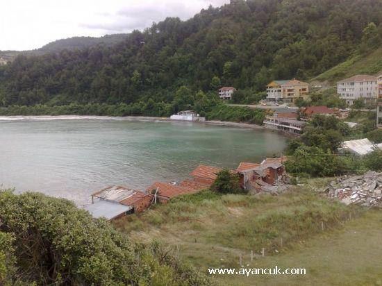 Türkeli Hacıköy  Resimleri 2
