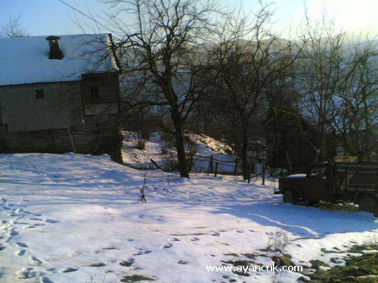 Türkeli Hacıköy  Resimleri 5