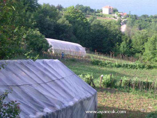 Türkeli Hacıköy  Resimleri 6
