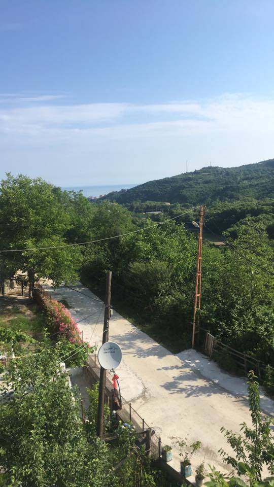 Türkeli Hamamlı Köyü  Resimleri 4