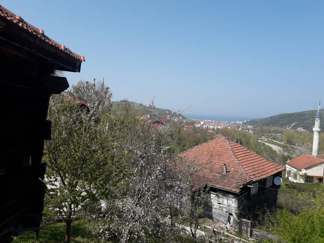 Türkeli Hamamlı Köyü  Resimleri 9