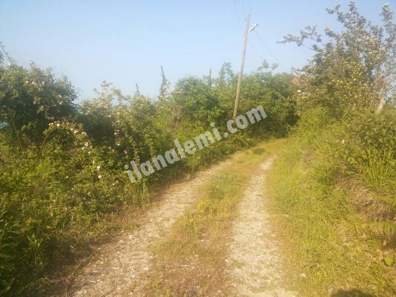 Türkeli Işıklı Köyü Resimleri 6