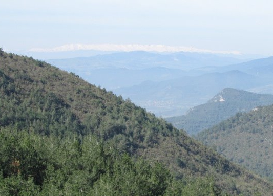 Pamukova Paşalar Köyü Resimleri 4