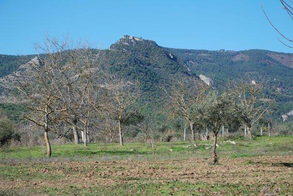 Pamukova Paşalar Köyü Resimleri 6