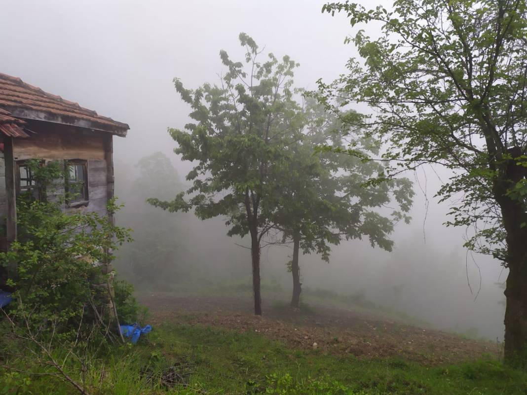 Türkeli Kuşçular Köyü Resimleri 11