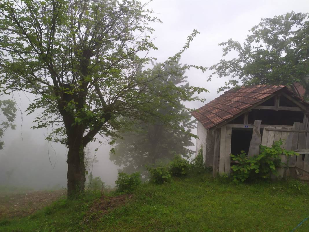 Türkeli Kuşçular Köyü Resimleri 12