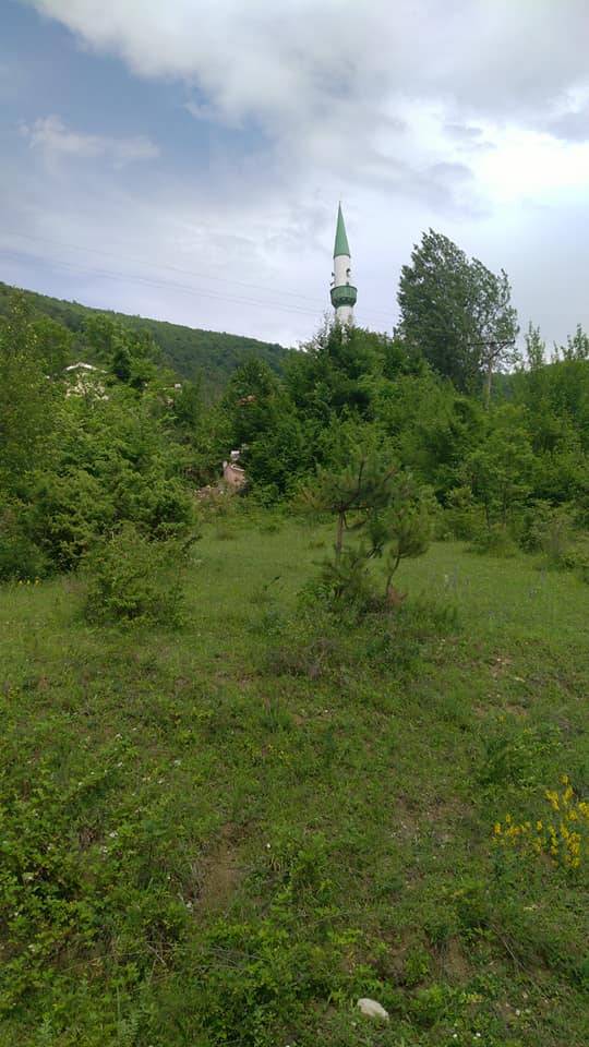 Türkeli Kuşçular Köyü Resimleri 13