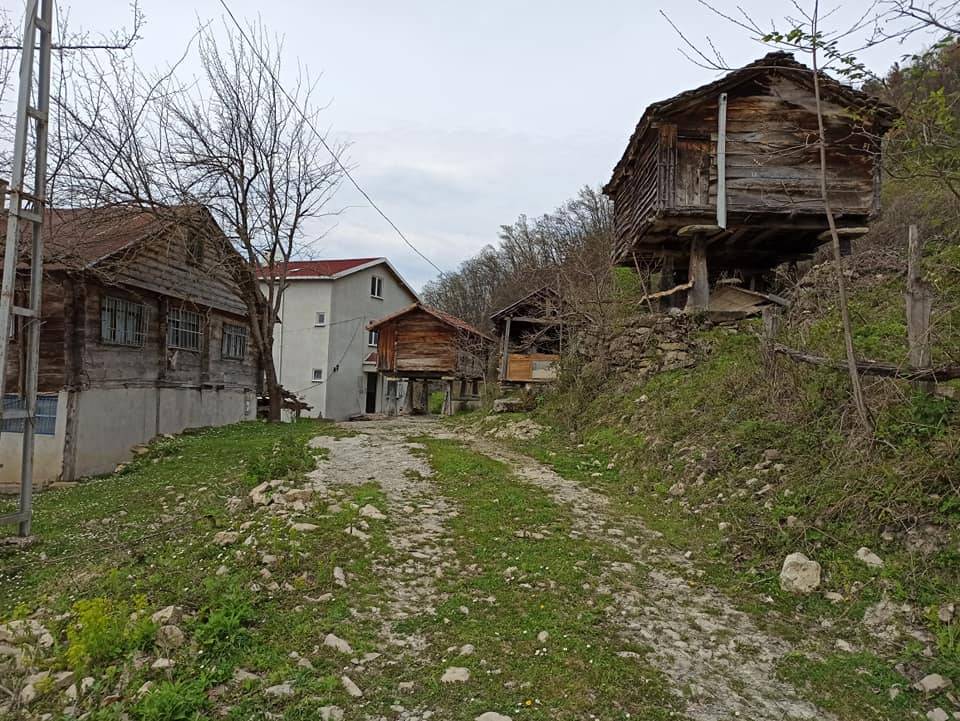 Türkeli Kuşçular Köyü Resimleri 15