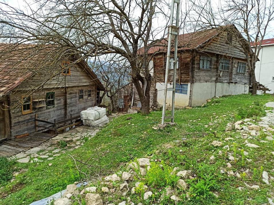 Türkeli Kuşçular Köyü Resimleri 6