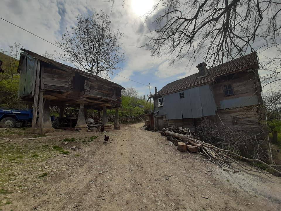 Türkeli Kuşçular Köyü Resimleri 7