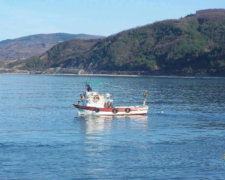 Türkeli Oymayaka Köyü Resimleri 10