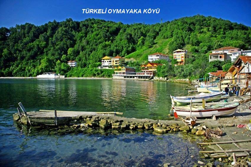 Türkeli Oymayaka Köyü Resimleri 11