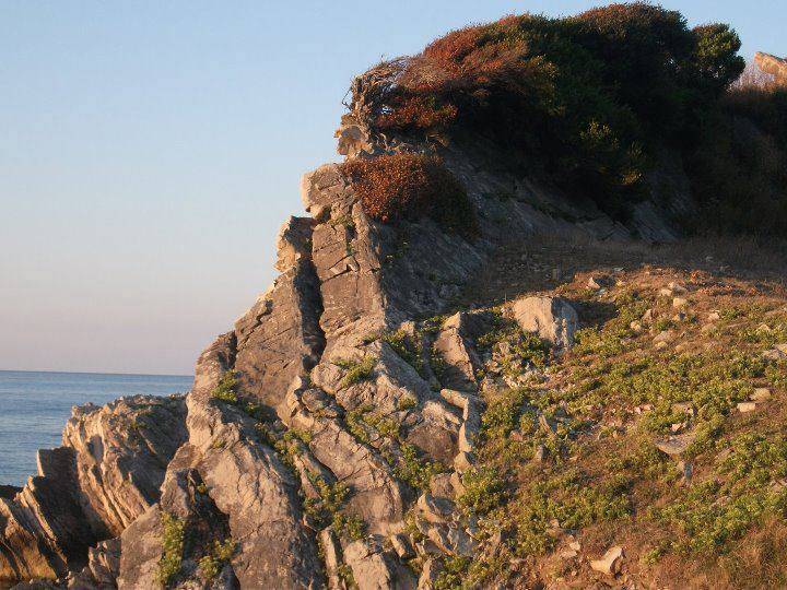 Türkeli Oymayaka Köyü Resimleri 3