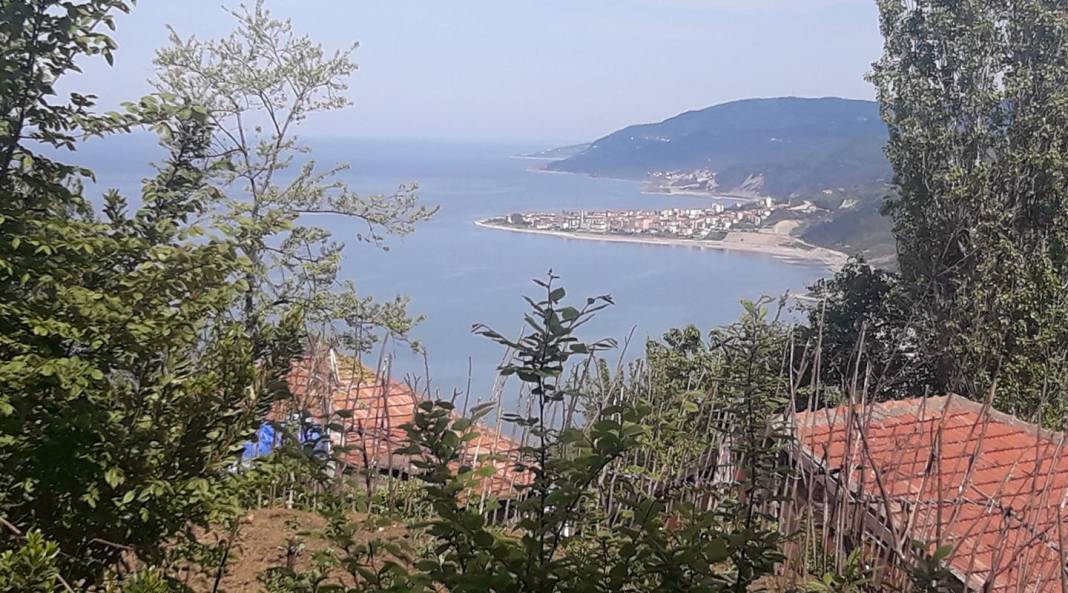 Türkeli Oymayaka Köyü Resimleri 9