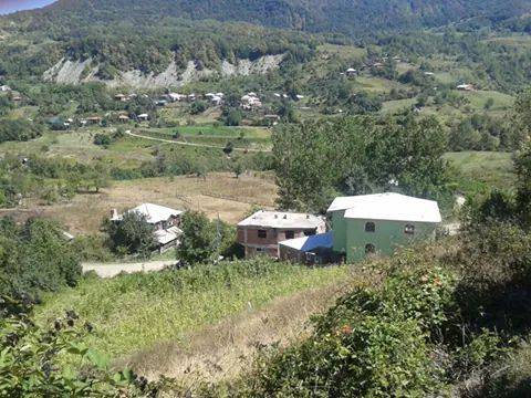 Türkeli Sarmaşık Köyü Resimleri 2