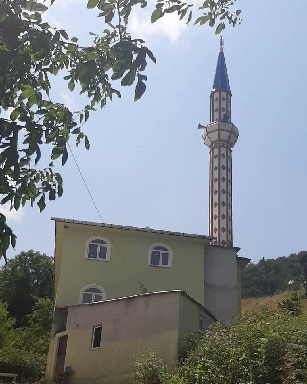 Türkeli Sarmaşık Köyü Resimleri 4