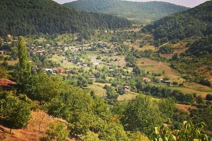 Türkeli Sarmaşık Köyü Resimleri 6
