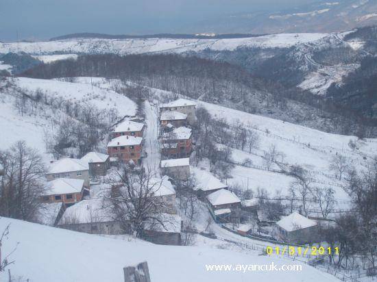 Türkeli Satıköy Resimleri 1