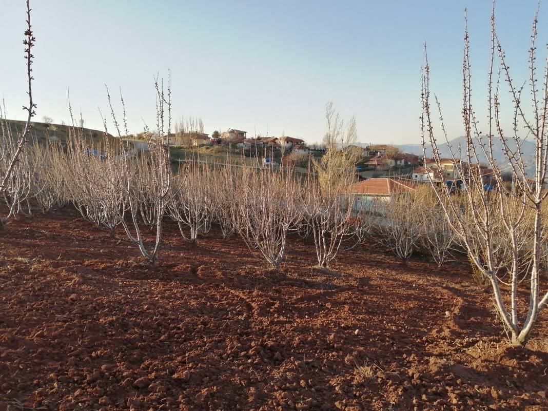 Çorum Öküzler Köyü Resimleri 5