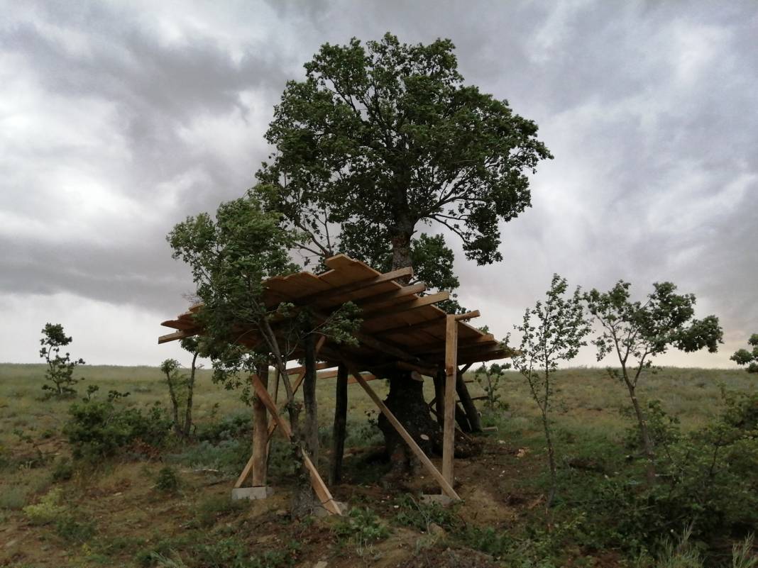 Çorum Öküzler Köyü Resimleri 7