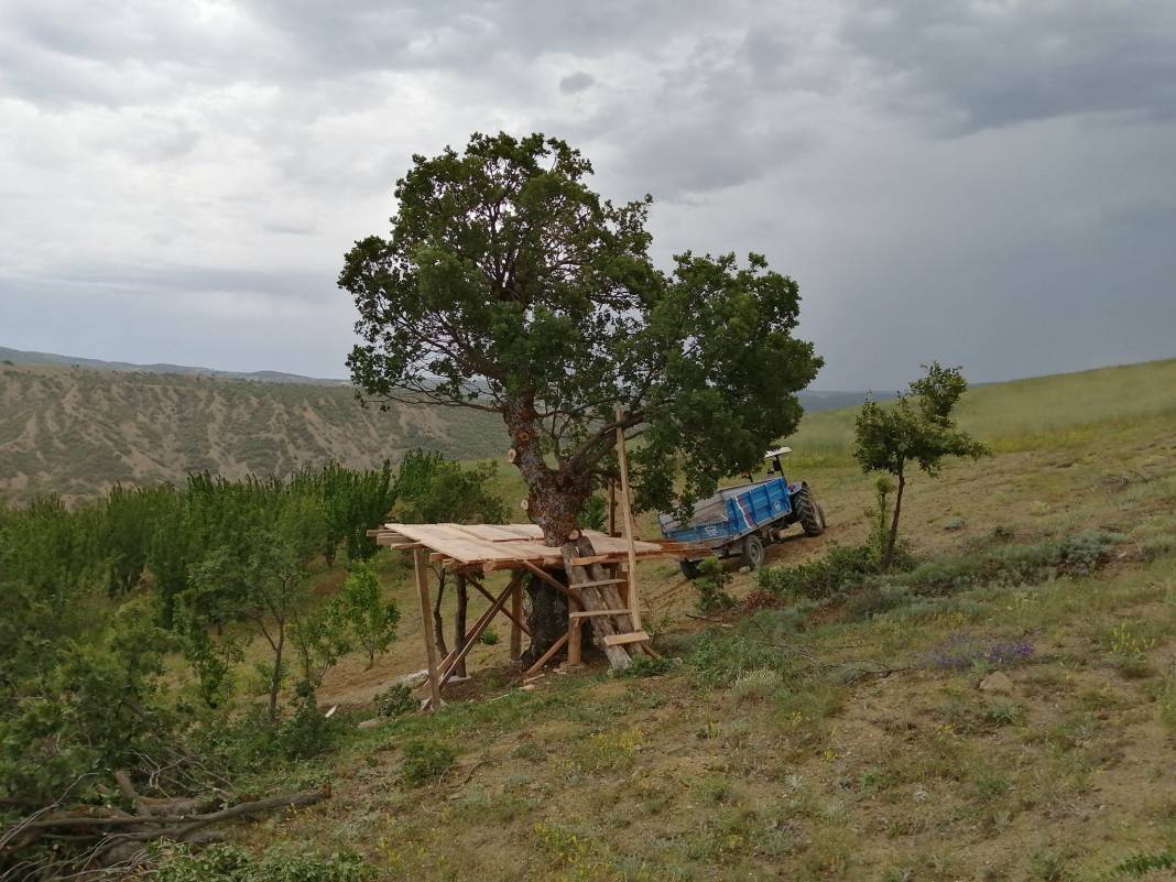 Çorum Öküzler Köyü Resimleri 8