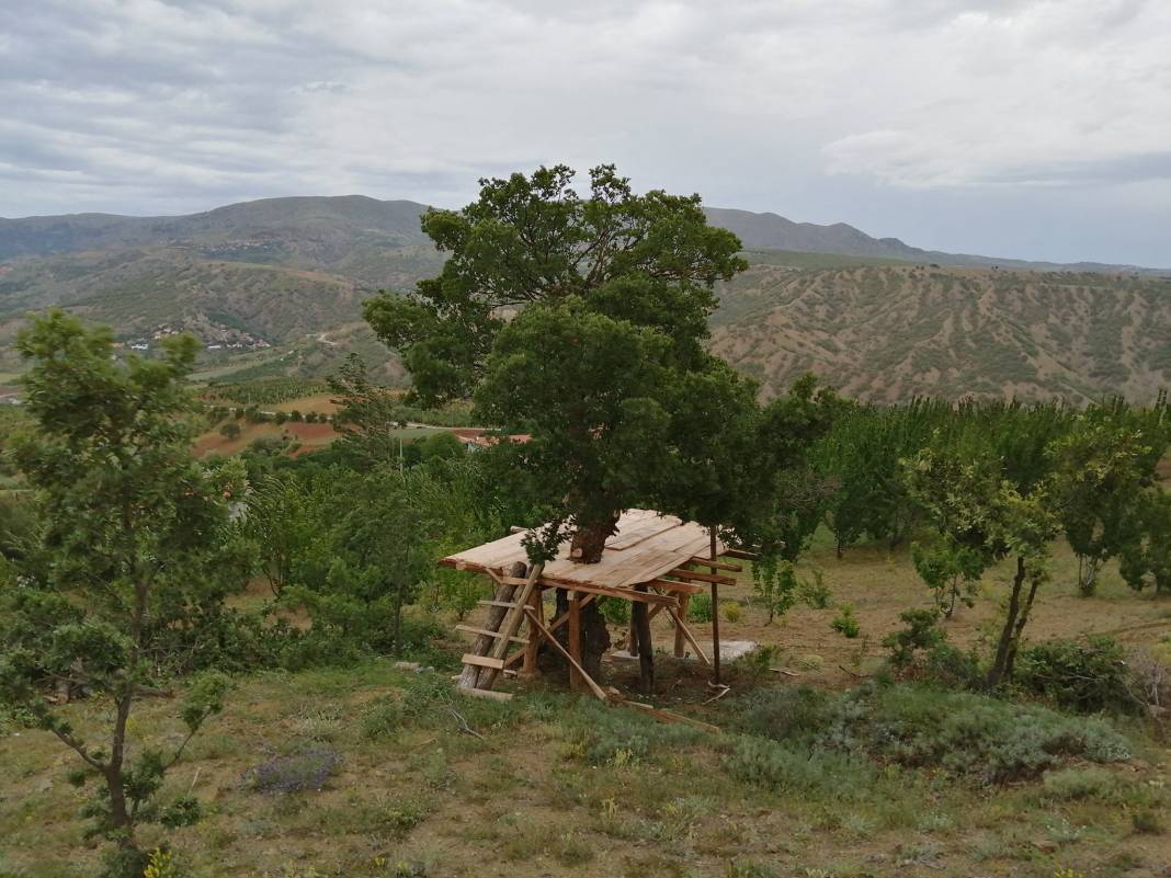 Çorum Öküzler Köyü Resimleri 9