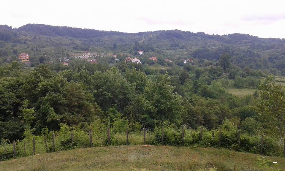 Türkeli Taşgüney Köyü Resimleri 2