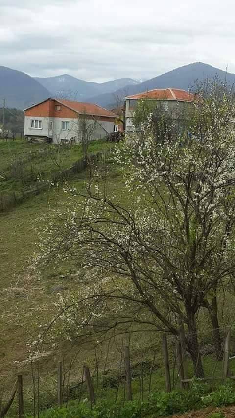 Türkeli Turhan Köyü Resimleri 2