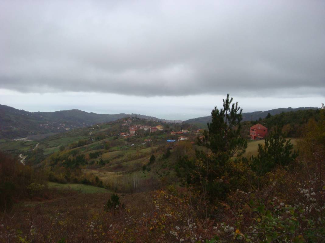 Türkeli Turhan Köyü Resimleri 3