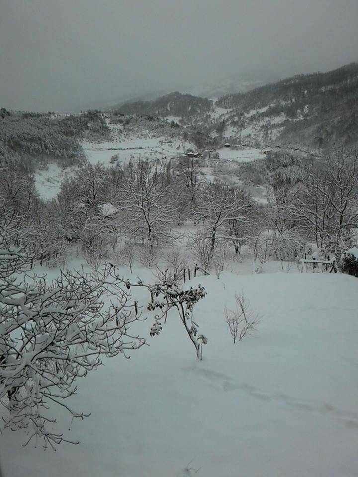 Türkeli Turhan Köyü Resimleri 5