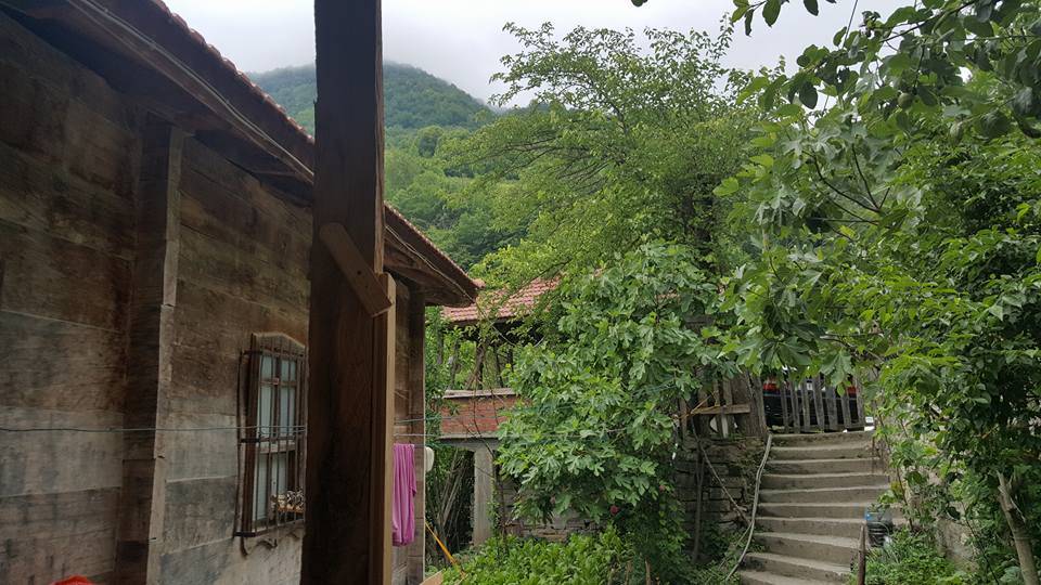 Türkeli Yeşiloba Köyü Resimleri 4