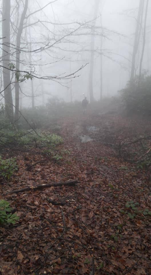 Türkeli Yeşiloba Köyü Resimleri 6